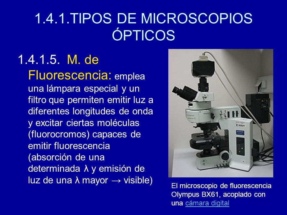 TIPOS DE MICROSCOPIOS OPTICOS EBOOK TIPOS DE MICROSCOPIOS OPTICOS EBOOK